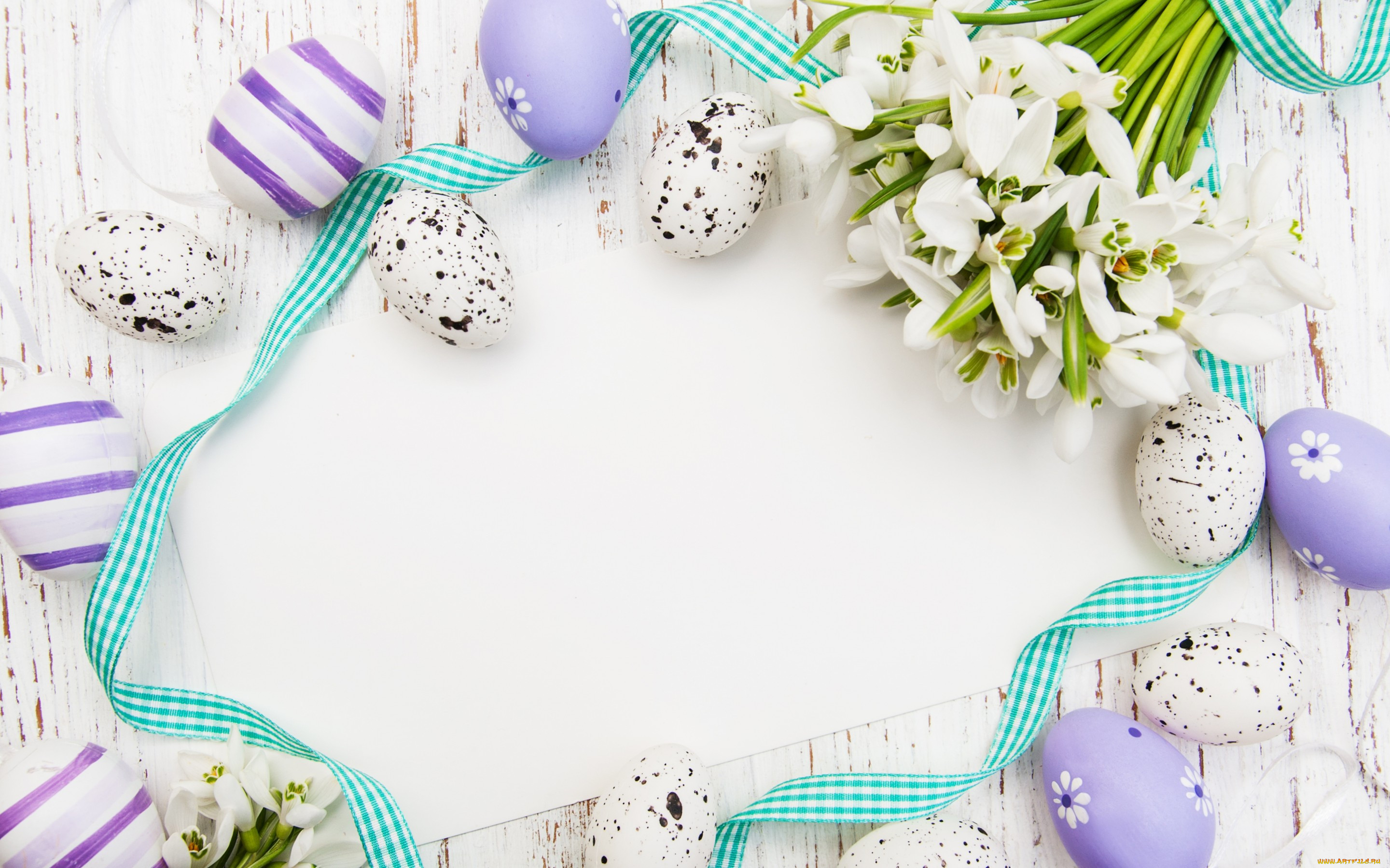 , , eggs, easter, , , flowers, spring, 